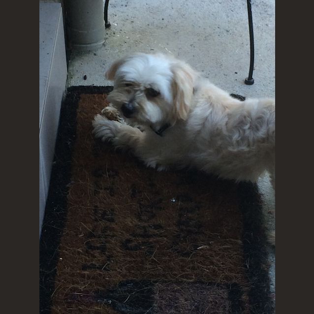 Photo of Jericho