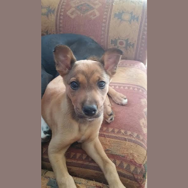 Photo of Brax