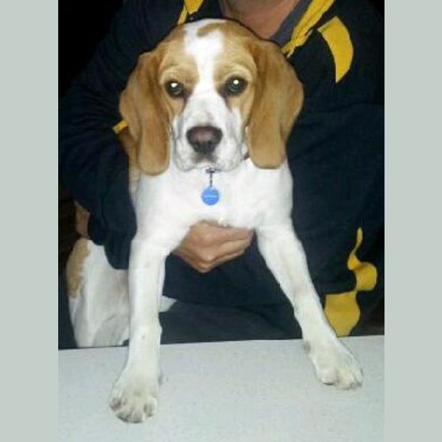 Photo of Gus