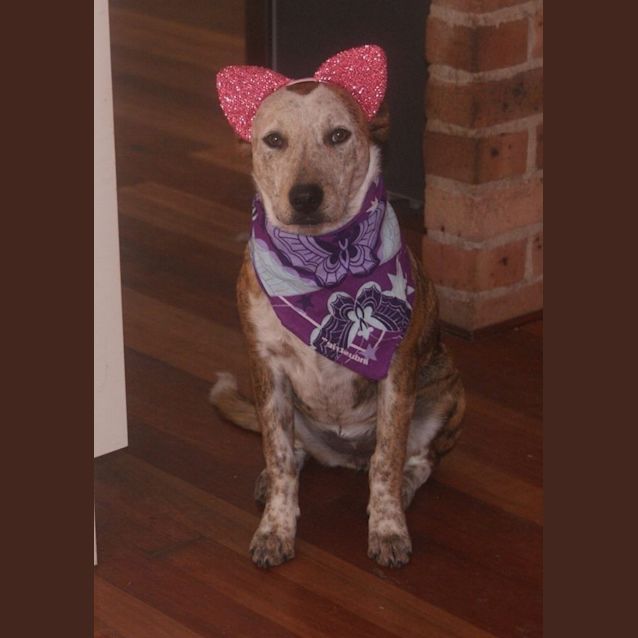 Photo of Heidi