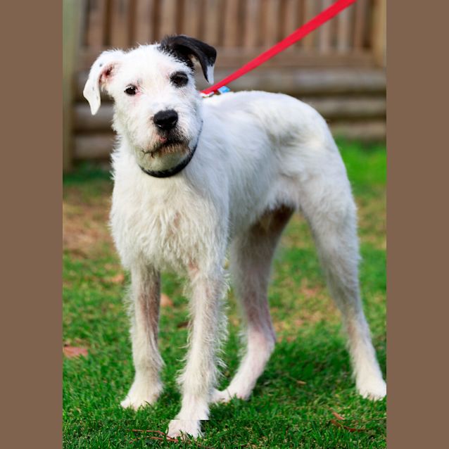 Photo of Thor (On Trial 26/11/14)