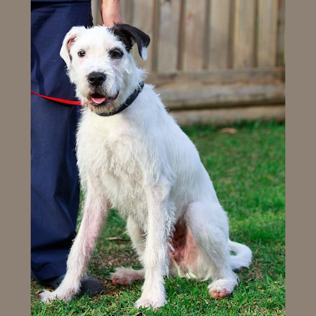 Photo of Thor (On Trial 26/11/14)