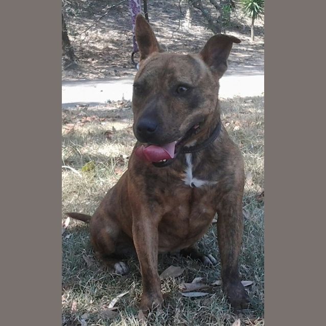 Photo of 006 5862 Maple