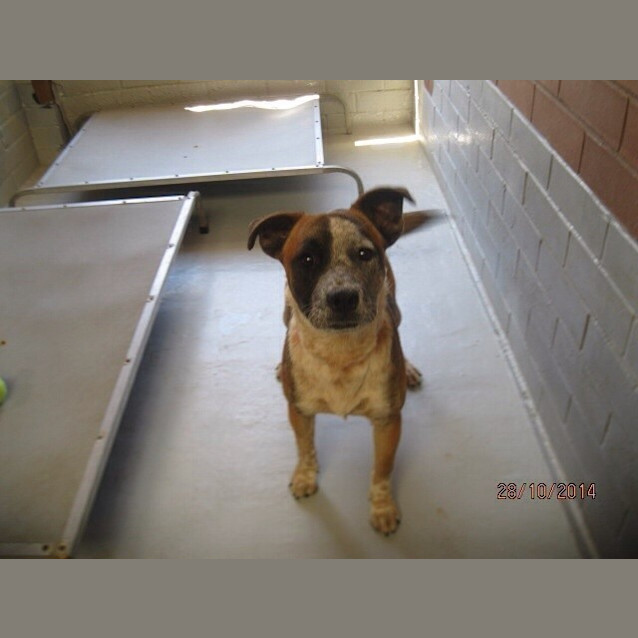 Photo of Cassie ** A Divine Natured Girl **