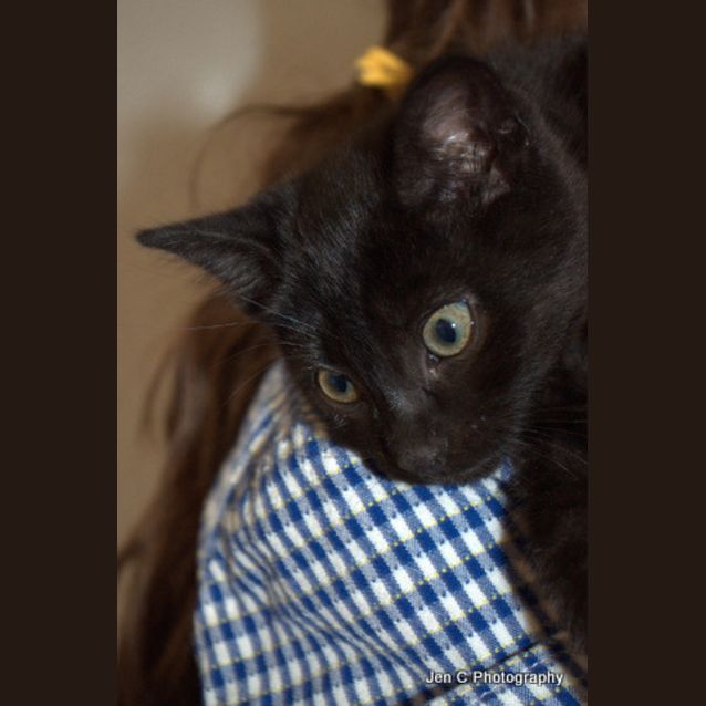Photo of Friendly Cheeky Travis