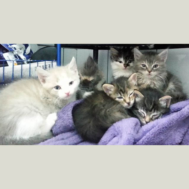 Photo of Chaz & Sonny