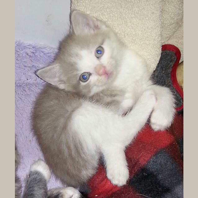 Photo of Chaz & Sonny