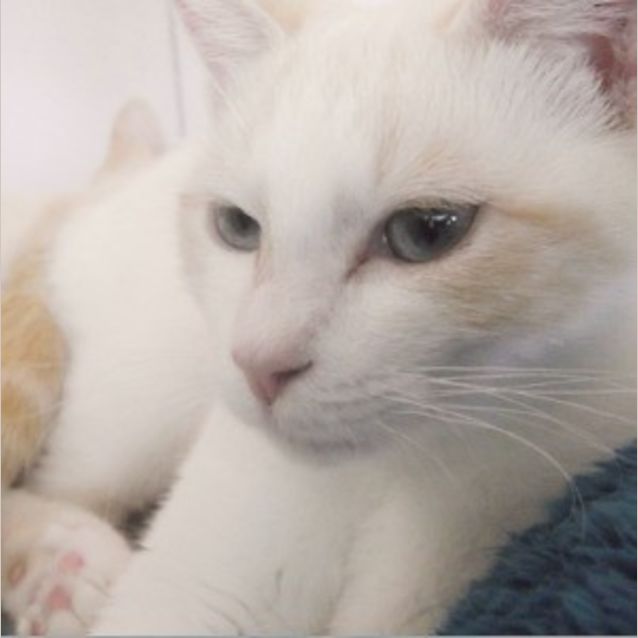 Photo of Yuki