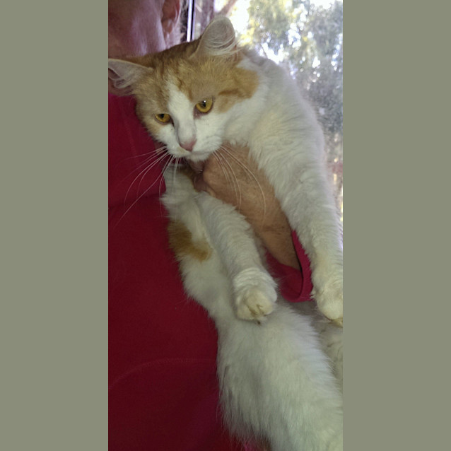 Photo of Shelly