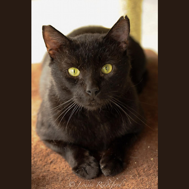 Photo of Dr Flanagan