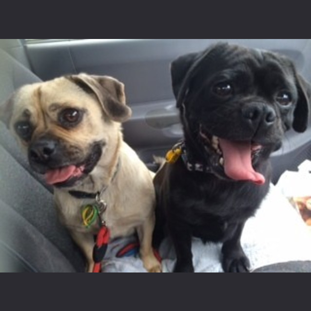 Photo of Wanda And Jackson