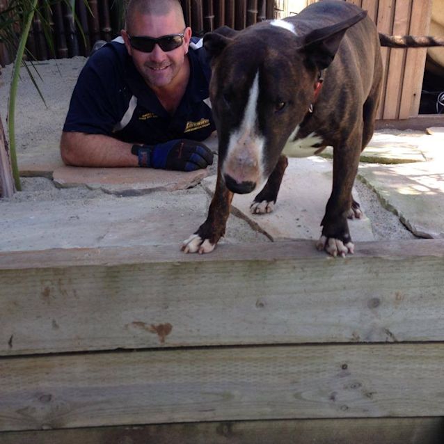 Photo of Hank The Heart Throb