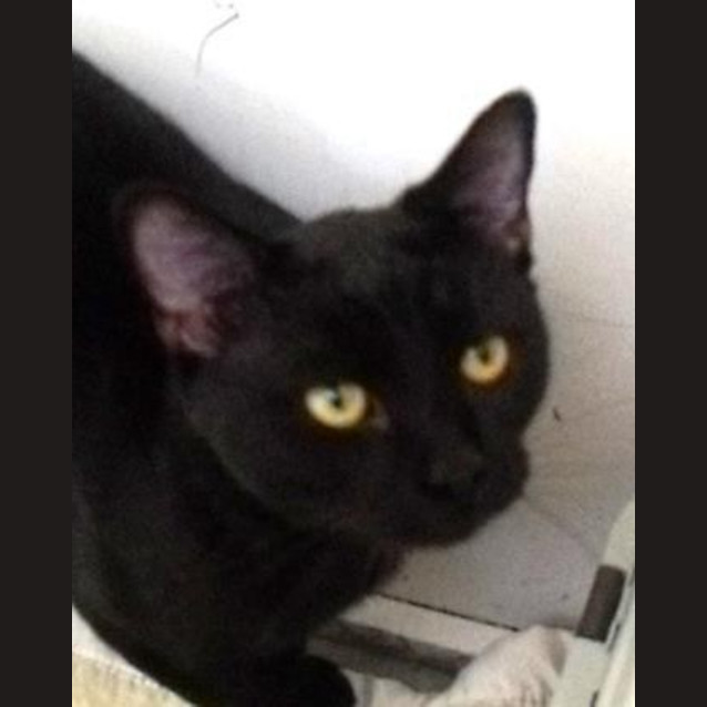 Photo of Beanie