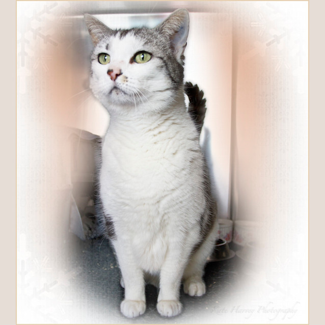 Photo of Crystal