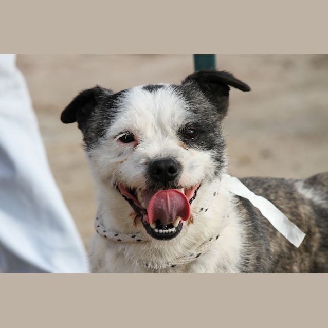 Photo of Bart   Oozes Character