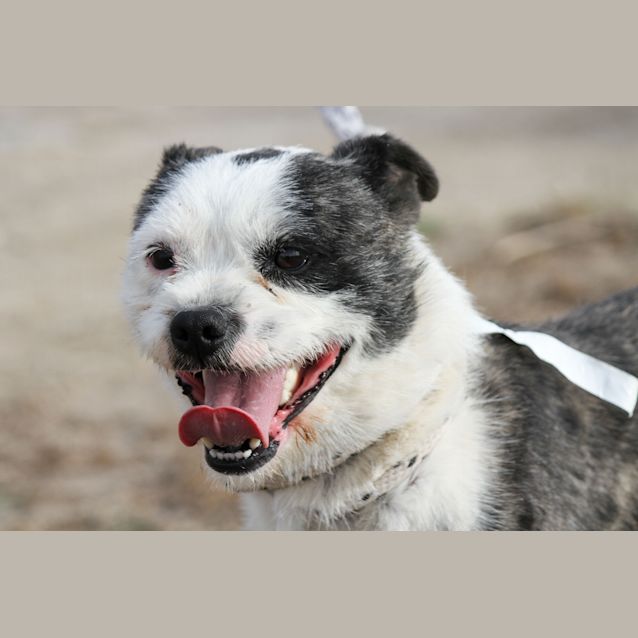 Photo of Bart   Oozes Character