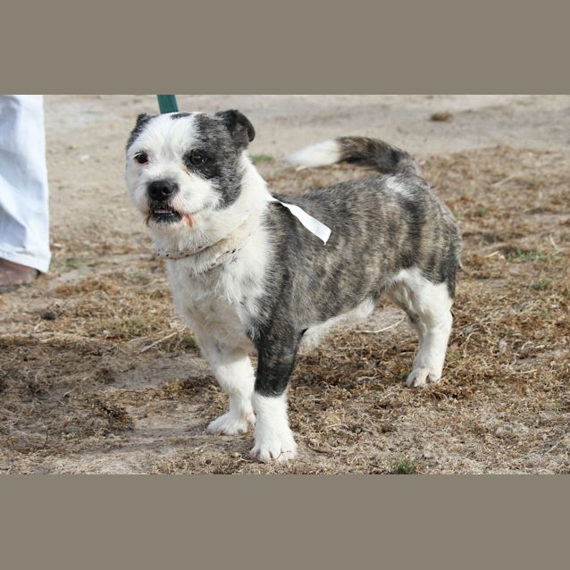 Photo of Bart   Oozes Character