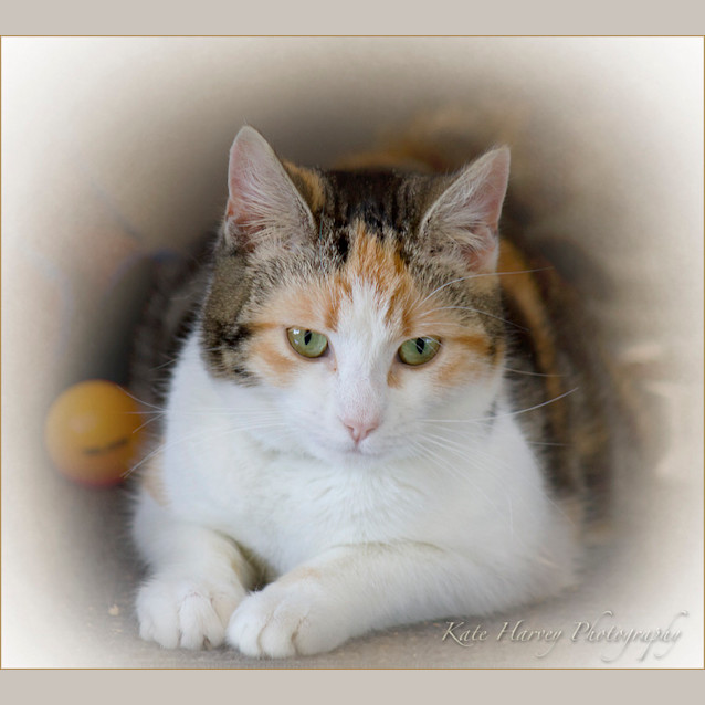 Photo of Gabby