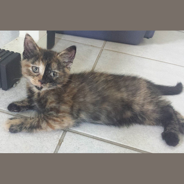 Photo of Ella
