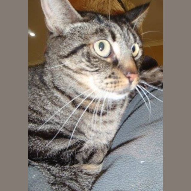 Photo of Joanie