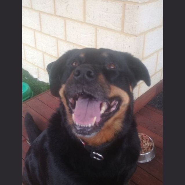 Photo of Bruce Dl768