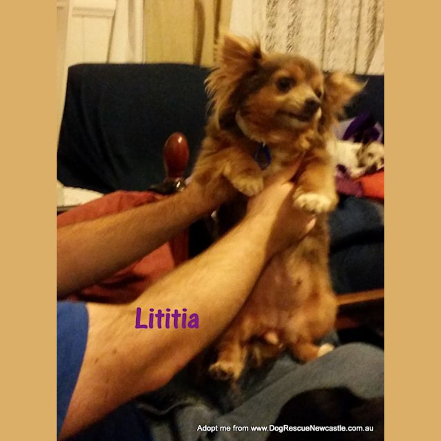 Photo of Luciano And Lititia (Adopted 12/2014)adorable Pair