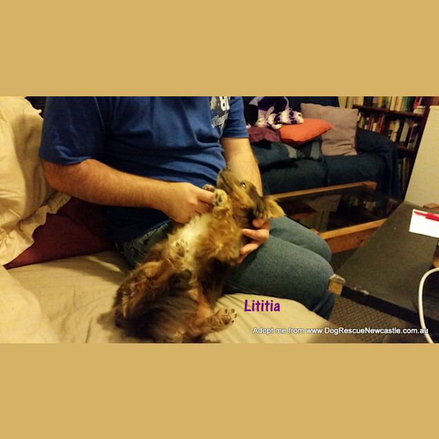 Photo of Luciano And Lititia (Adopted 12/2014)adorable Pair