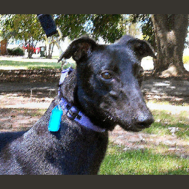 Photo of Ebony   Checking Out My New Home