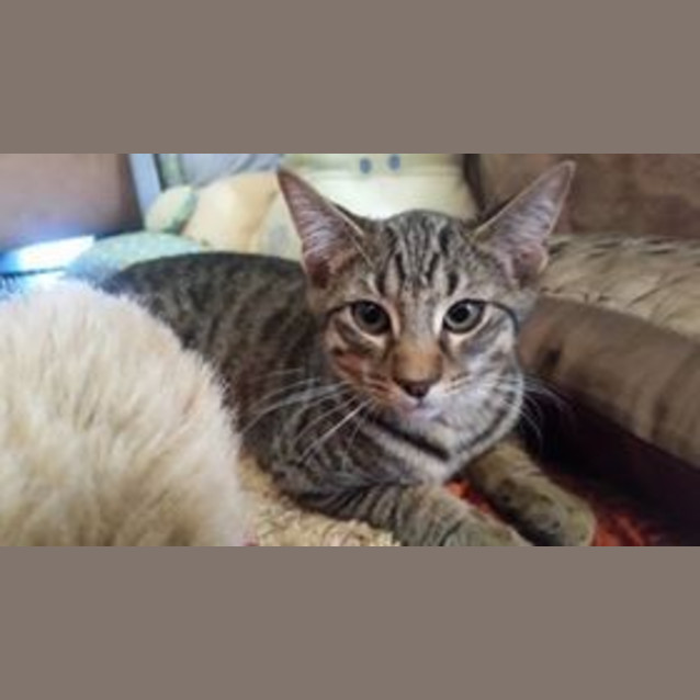 Photo of Seeka