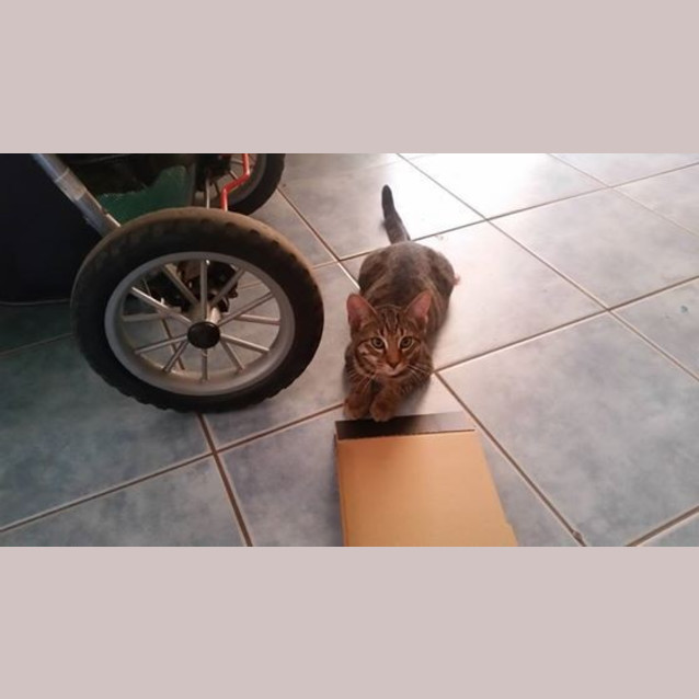 Photo of Seeka