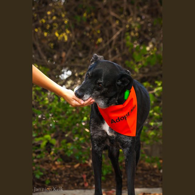 Photo of Yoshi