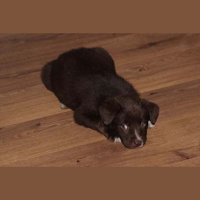 Photo of Tatum