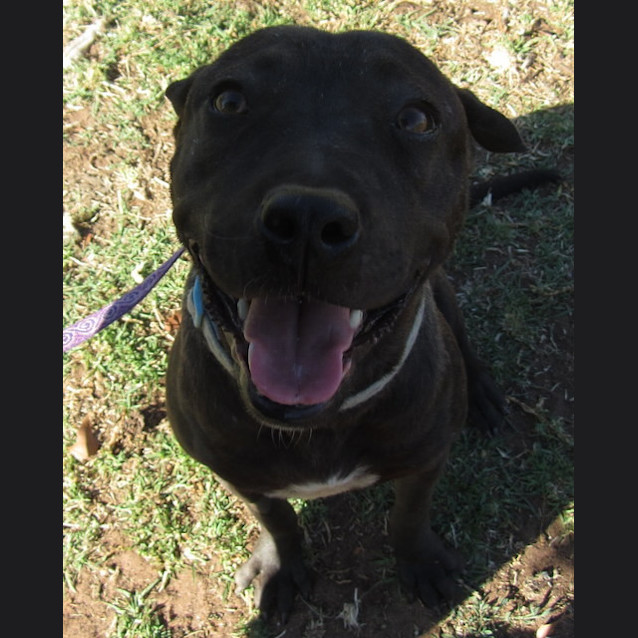 Photo of Luna Fee Reduced