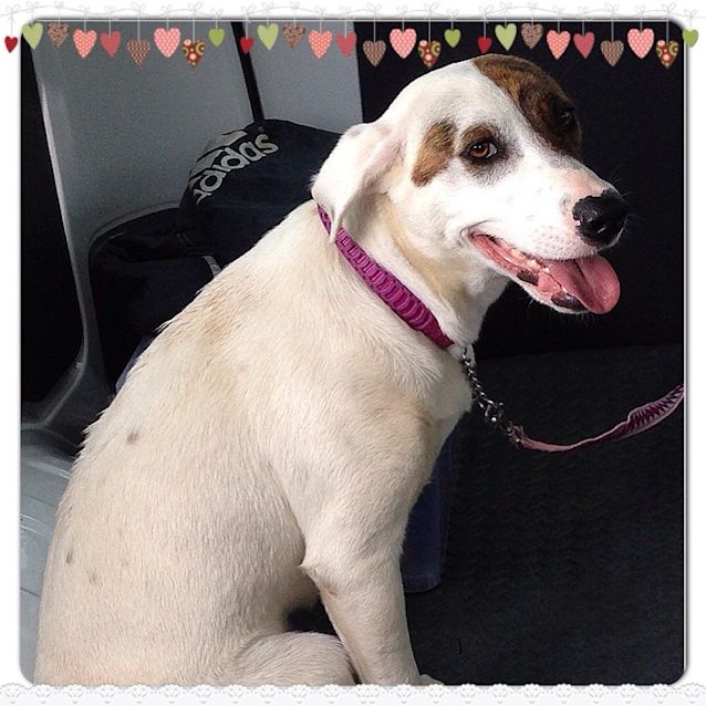 Photo of Sienna ** A Lovely Happy Girl **