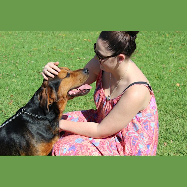 Photo of Cadbury Needing Foster Care Or Adoption!!