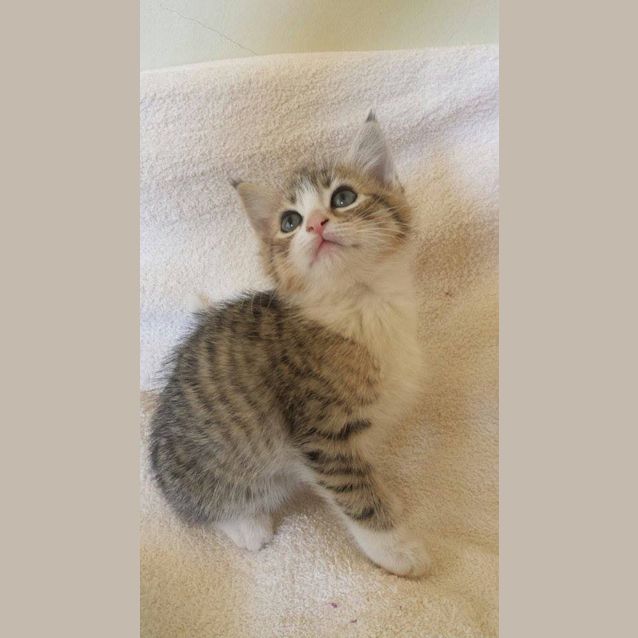 Photo of Barnaby
