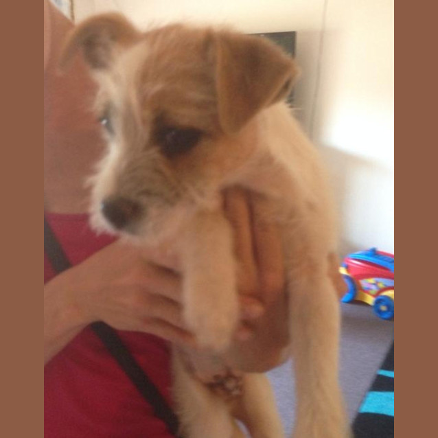 Photo of Roger Ramjet