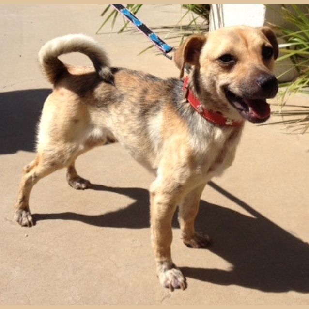 Photo of Little Jasper