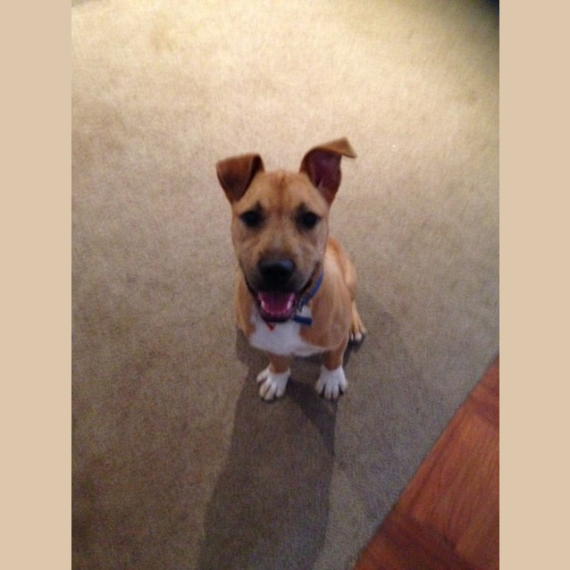 Photo of Rigby