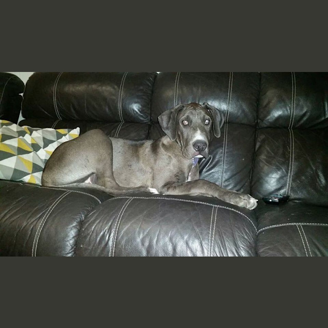 Photo of Busta