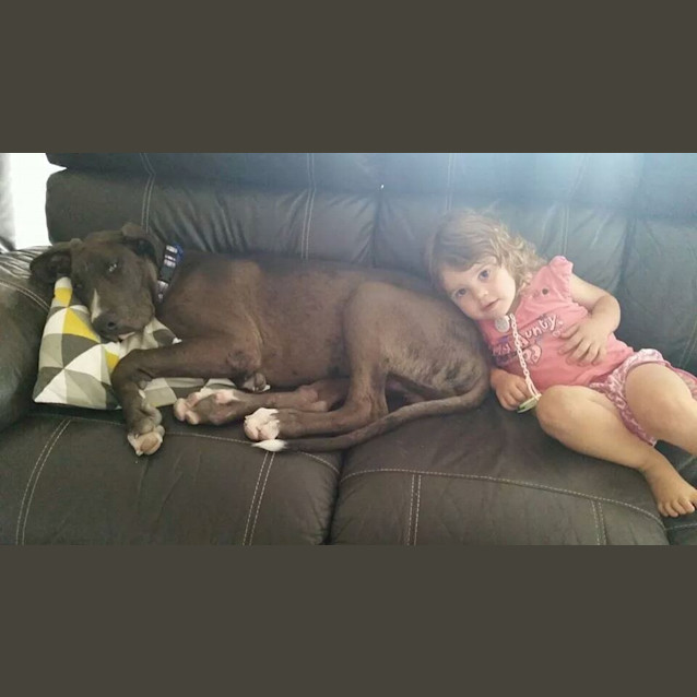 Photo of Busta