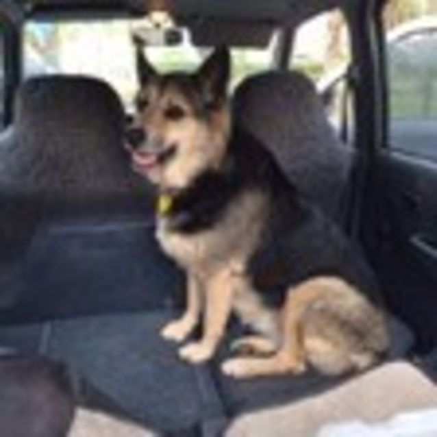 Photo of Zena