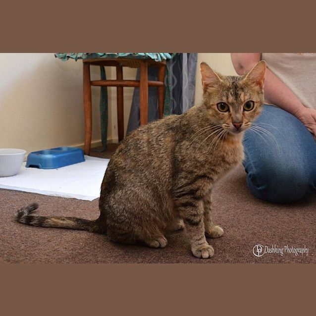 Photo of Nella