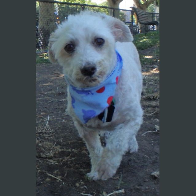 Photo of Casper