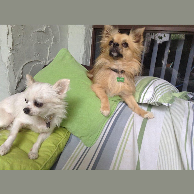 Photo of Hope & Mia