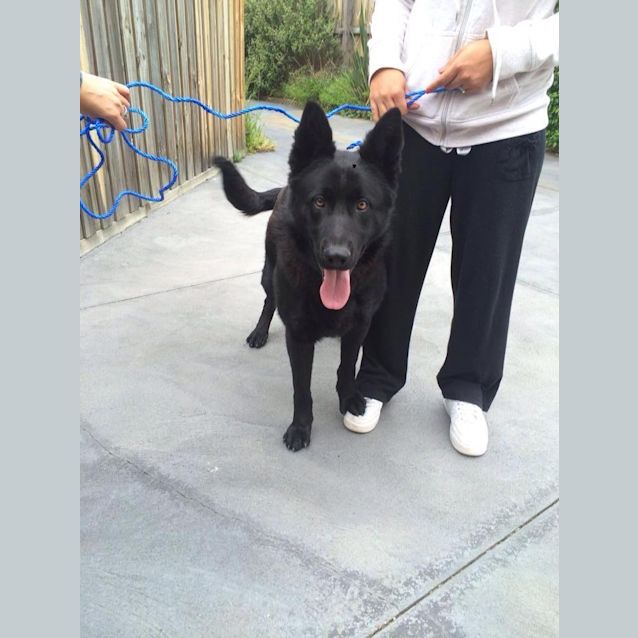 Photo of Jet