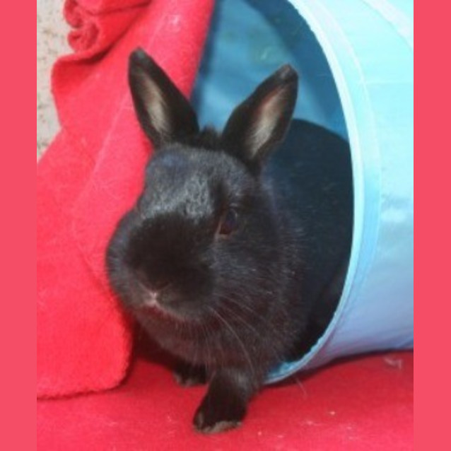 Photo of Nellie