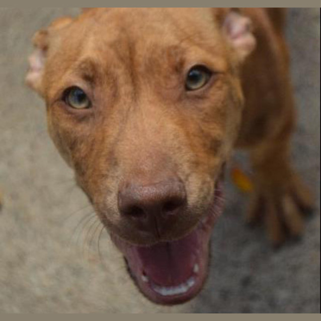 Photo of Delilah