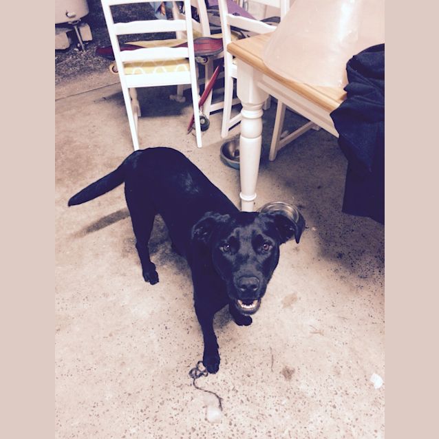Photo of Buttons