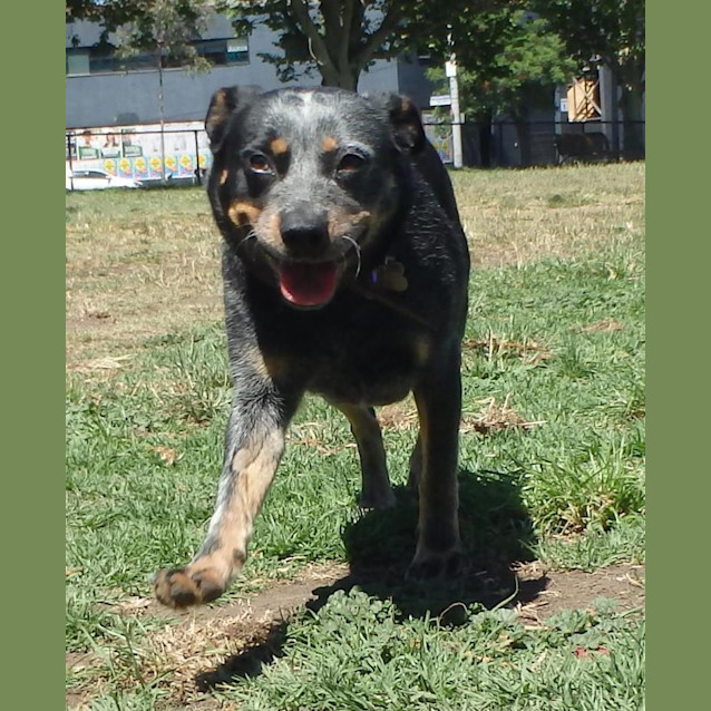 Photo of Tilly